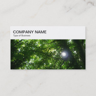 Top Panel - Sol Shining through Träd Business Car Visitkort