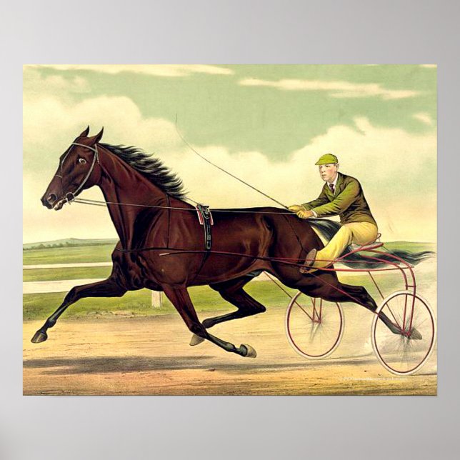 TOP Sulky Champ Poster (Framsidan)