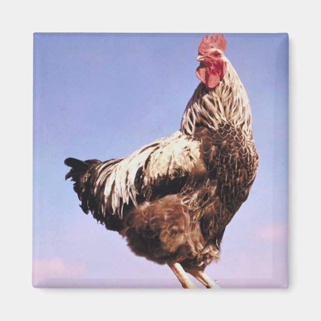 Top Tupp Magnet (Framsidan)