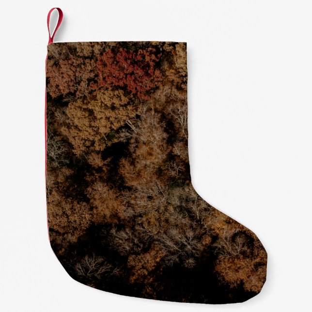 Top-view photography of tree liten julstrumpa (Framsidan)