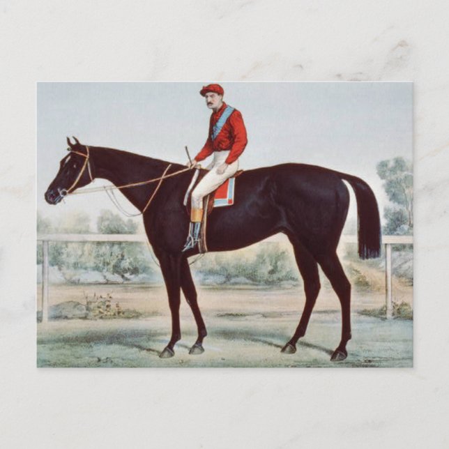 TOP Winners cirkel Vykort (Framsida)