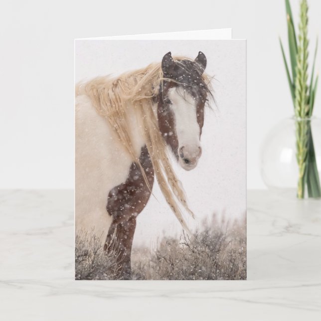 "Topeka in Winter"-kort för Helgdag Kort (Framsida)