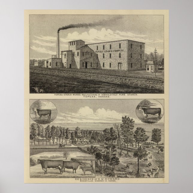 Topeka Starch Workand Residence of DM Howard Poster (Framsidan)