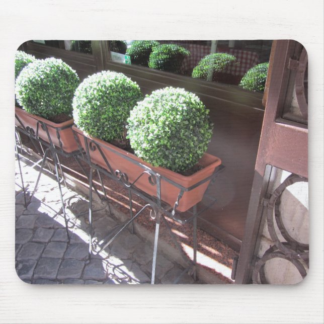 Topiary Bollar Musmatta (Framsidan)