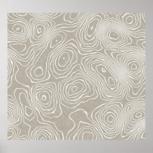 Topografisk jord Linjer: Organic Karta Poster
