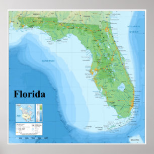 Topografiska Karta i den amerikanska delstaten Flo Poster