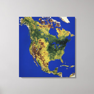 Topographic beskåda av nord och Central America Canvastryck
