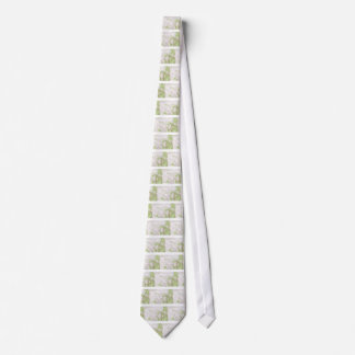 Topographic karta slips