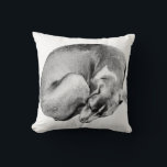 Topp av tyst kudde<br><div class="desc">Den här kudden visar en hund som har en dämpad tråd, en kropp i spiral som skapar balans och fred i ditt hem. En perfekt för hörnen som inbjudan är stilla och vila.</div>