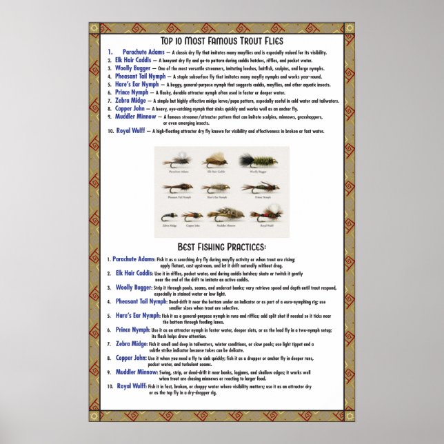 Topp tio flugmönster beskrivning & bästa praxis poster (Framsidan)