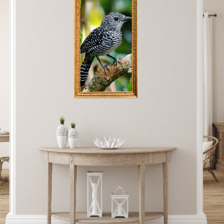 Toppad taggnäbb poster