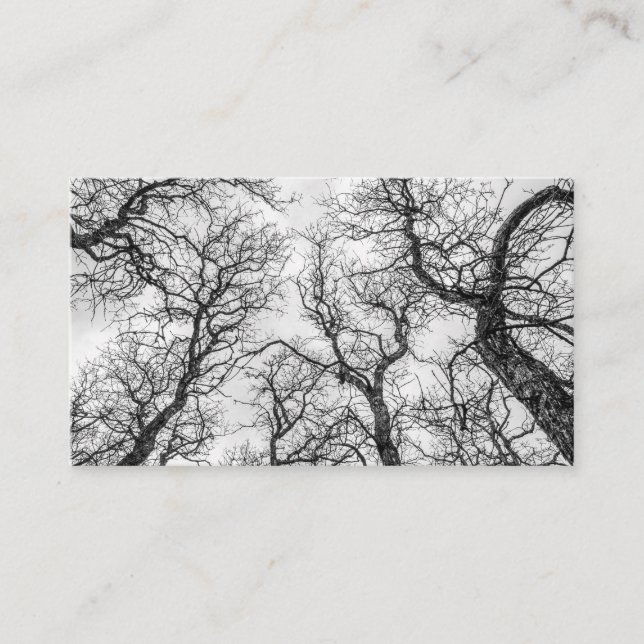Toppar av Crooking, Bare Träd Visitkort (Framsida)