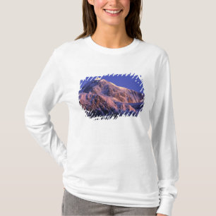 Toppen av Denali Peak Mt. McKinley) vid T-shirt