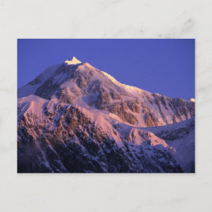 Toppen av Denali Peak Mt. McKinley) vid Vykort