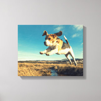 Toppen Beagle Hund - Premium Wrapped Canvas