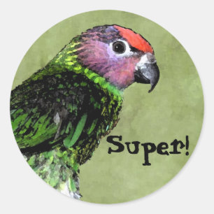 TOPPEN belöningsetikett med Lorikeet-fågel Runt Klistermärke
