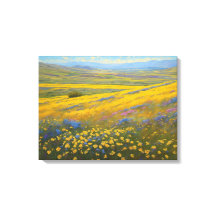 Toppen Blooms i Kalifornien, Carrizo Plains