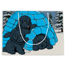 Toppen Chill Newfoundland puppy