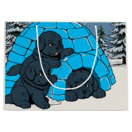 Toppen Chill Newfoundland puppy