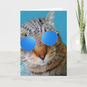 Toppen Coola Katt födelsedag Kort