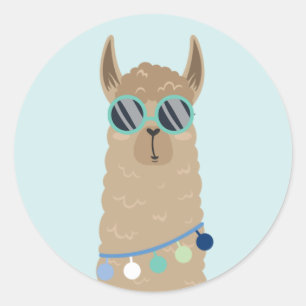 Toppen Coola Llama Runt Klistermärke