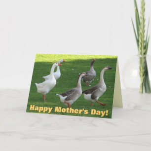 Toppen Coola Mors dag Card! Kort