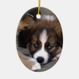 Toppen Cute Australian shepherd Puppy Julgransprydnad Keramik