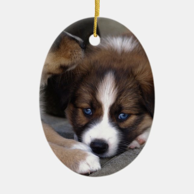 Toppen Cute Australian shepherd Puppy Julgransprydnad Keramik (Framsidan)