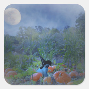 Toppen Cute Cat Halloween Pumpkin Patch Stickers Fyrkantigt Klistermärke