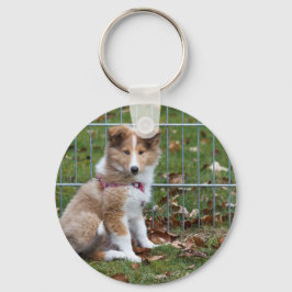 Toppen Cute Collie Nyckelring