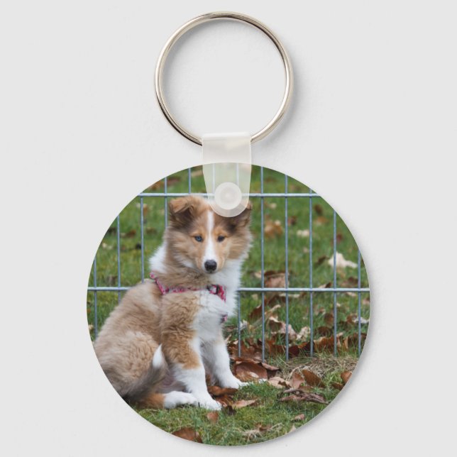 Toppen Cute Collie Nyckelring (Framsida)