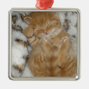 Toppen Cute Ginger Sleeping Kitten Julgransprydnad Metall