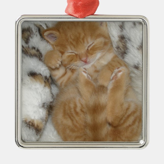 Toppen Cute Ginger Sleeping Kitten Julgransprydnad Metall (Framsidan)