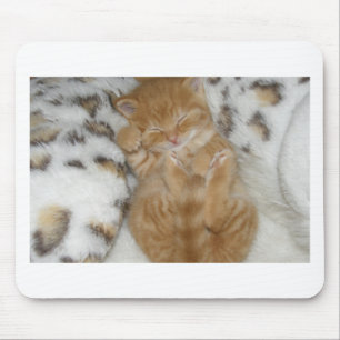 Toppen Cute Ginger Sleeping Kitten Musmatta