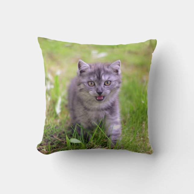 Toppen Cute Grått Kitten Photo Design Kudde (Framsida)