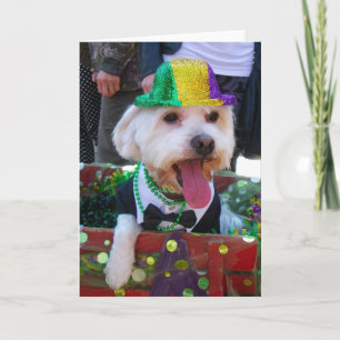 Toppen Cute Greeting Card! Kort