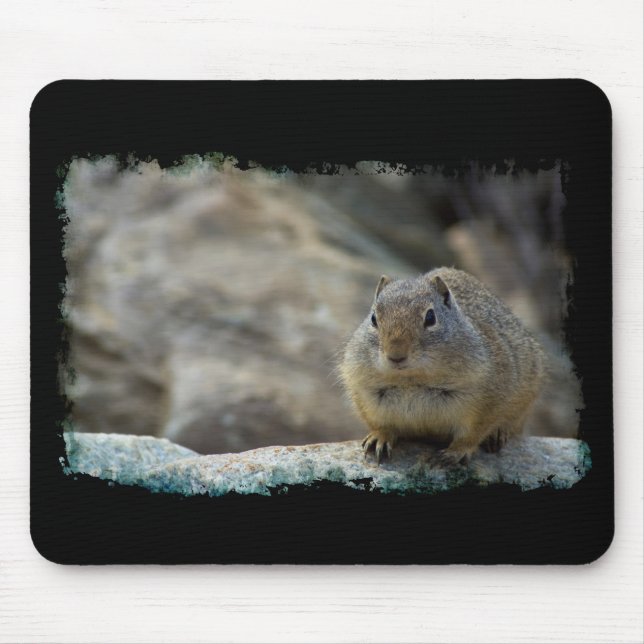 Toppen Cute Ground Squirrel Black Gräns Musmatta (Framsidan)