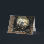 Toppen Cute Hund 31a Lycklig Birthday Funny Kort<br><div class="desc">Ett verkligen sött och roligt födelsedagskort för 31ans födelsedag av en uppsida ned hund,  hur som helst,  att vara 31 är underbar toppen!</div>