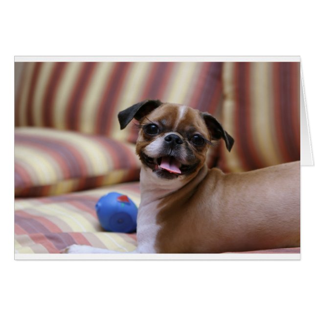 Toppen Cute hund med sin favorit boll Hälsningskort (Framsidan Horizontal)