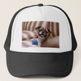 Toppen Cute hund med sin favorit boll Truckerkeps