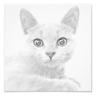 TOPPEN CUTE Kattunge Porträtt Fototryck