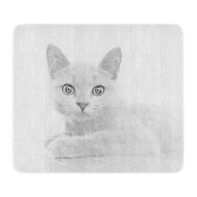 TOPPEN CUTE Kitten Cat Porträtt (Framsidan)