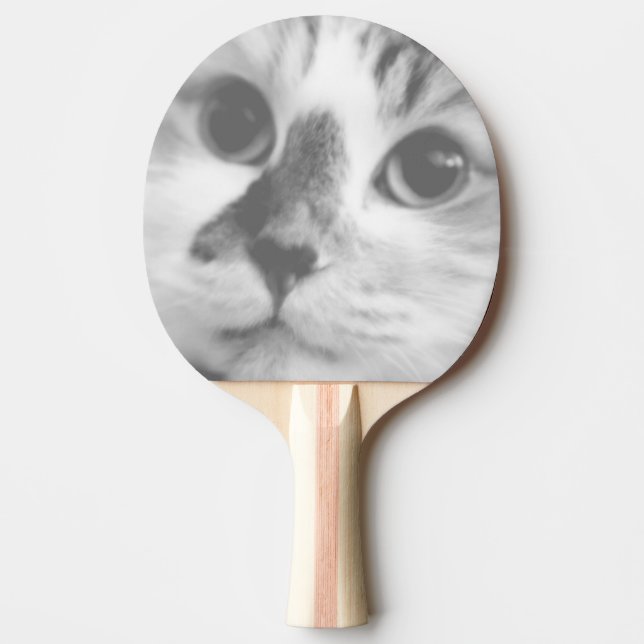 TOPPEN CUTE Kitten Cat Porträtt Pingisracket (Framsidan)