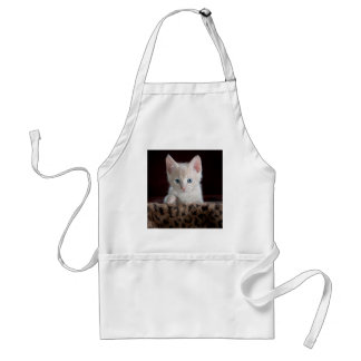 Toppen Cute Kitten med vackra Öga Förkläde