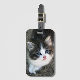 TOPPEN CUTE Kitten Porträtt Bagagebricka