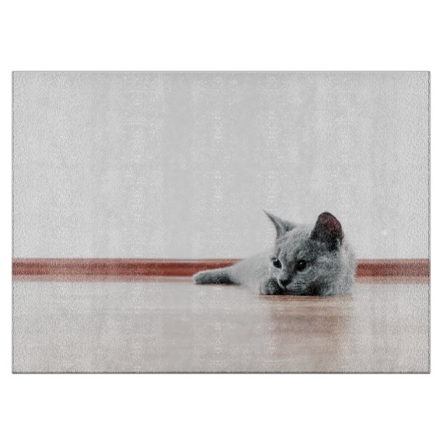 TOPPEN CUTE Kitten Porträtt-foto (Framsidan)