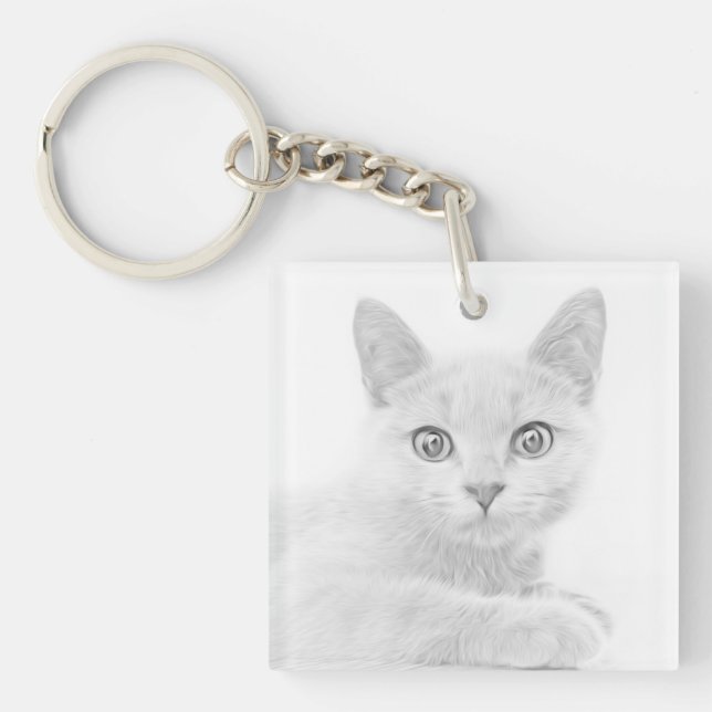 TOPPEN CUTE Kitten Porträtt-foto (Framsidan)