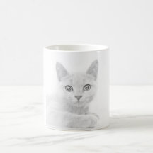 TOPPEN CUTE Kitten Porträtt-foto