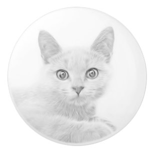 TOPPEN CUTE Kitten Porträtt-foto Knopp