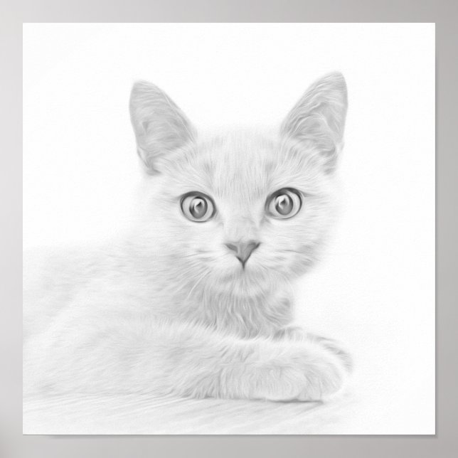 TOPPEN CUTE Kitten Porträtt-foto Poster (Framsidan)
